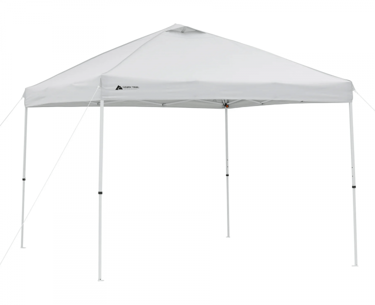 10x10 Pop up canopy (white)